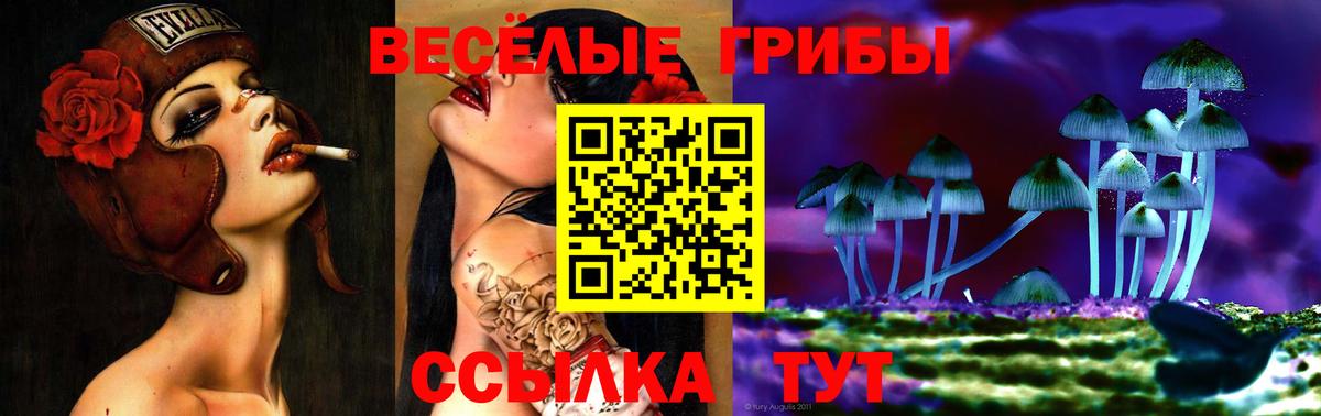 Псилоцибиновые грибы Psilocybe  хочу   Балашиха  Вход с VPN 